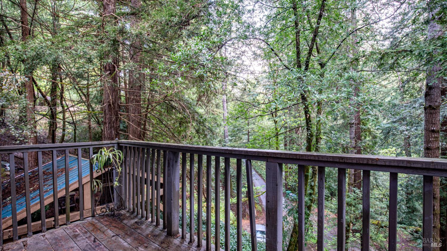 Detail Gallery Image 68 of 90 For 7456 Sir Francis Drake Blvd, Lagunitas,  CA 94938 - 4 Beds | 5 Baths