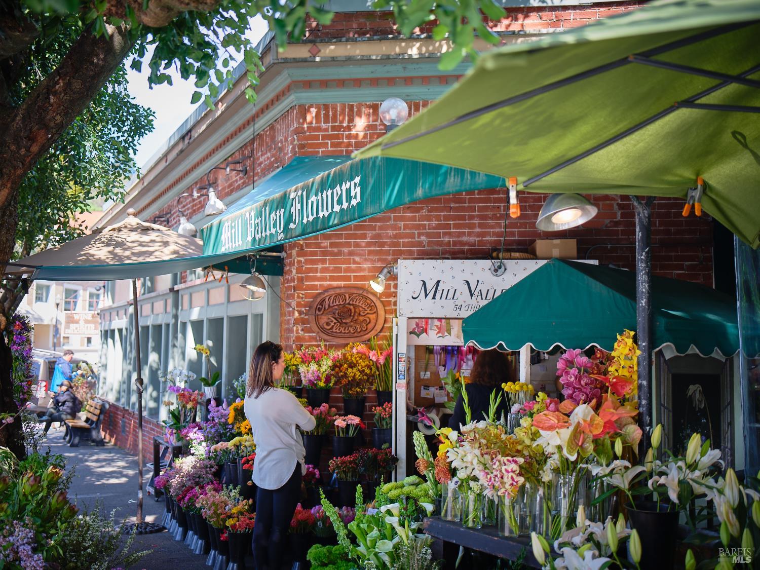 Detail Gallery Image 36 of 36 For 3 Fielding Cir, Mill Valley,  CA 94941 - 2 Beds | 2 Baths