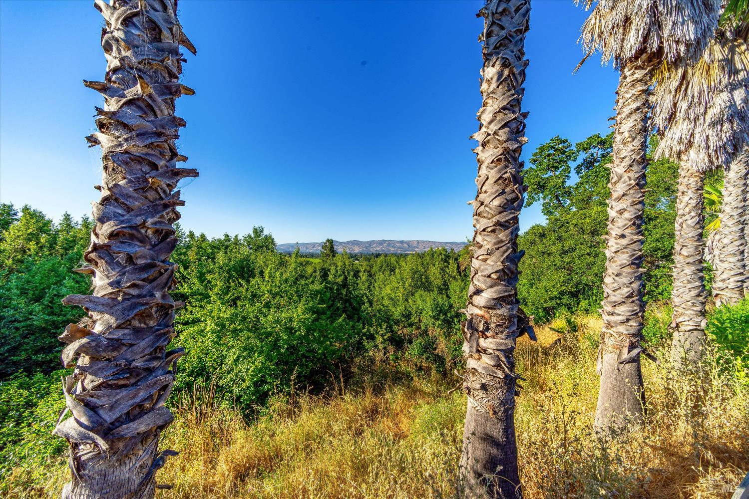 Detail Gallery Image 5 of 6 For 29 Forest Dr, Napa,  CA 94558 - 5 Beds | 4/2 Baths