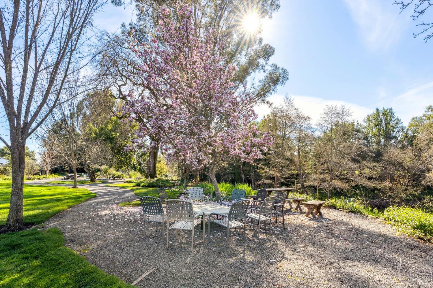 Detail Gallery Image 48 of 66 For 30 Creek Ln, Sonoma,  CA 95476 - 2 Beds | 2 Baths