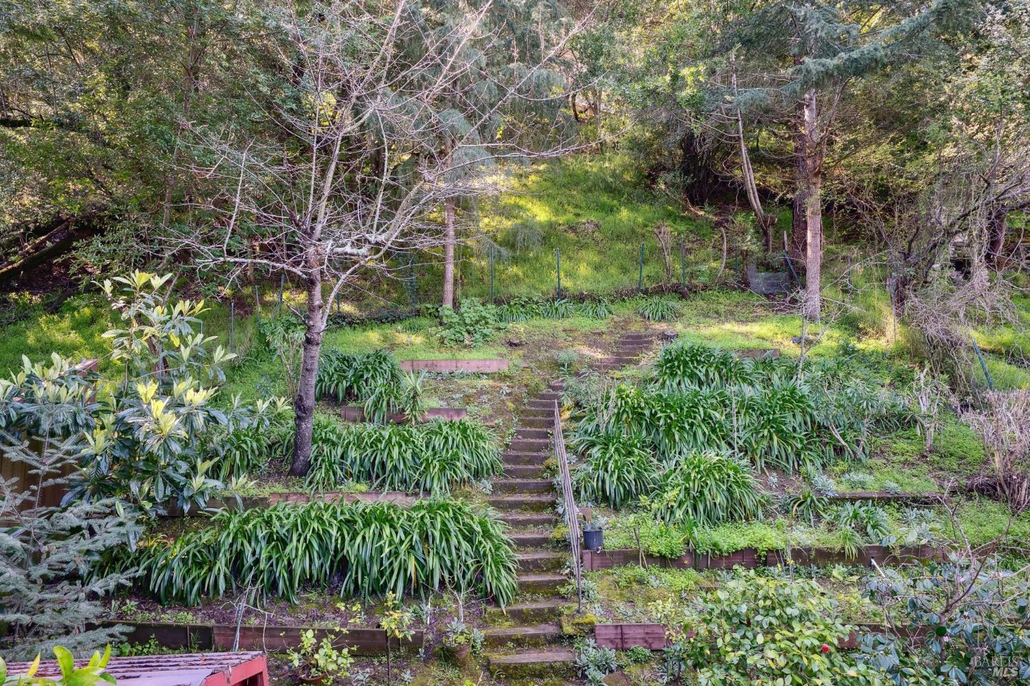 Detail Gallery Image 26 of 26 For 1851 5th Ave, San Rafael,  CA 94901 - 3 Beds | 2 Baths