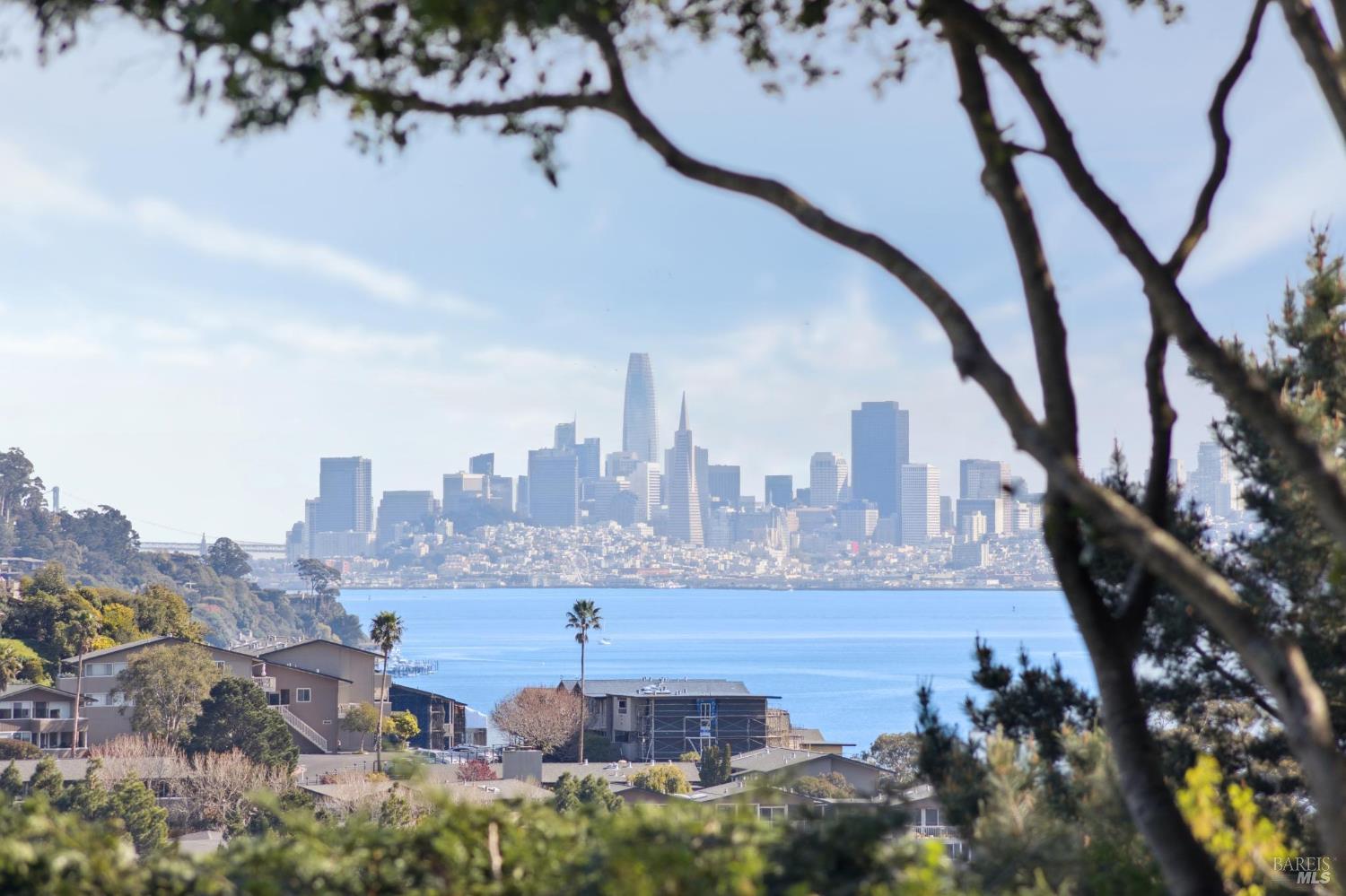 Detail Gallery Image 50 of 52 For 31 via Los Altos Unkn, Tiburon,  CA 94920 - 4 Beds | 3/1 Baths