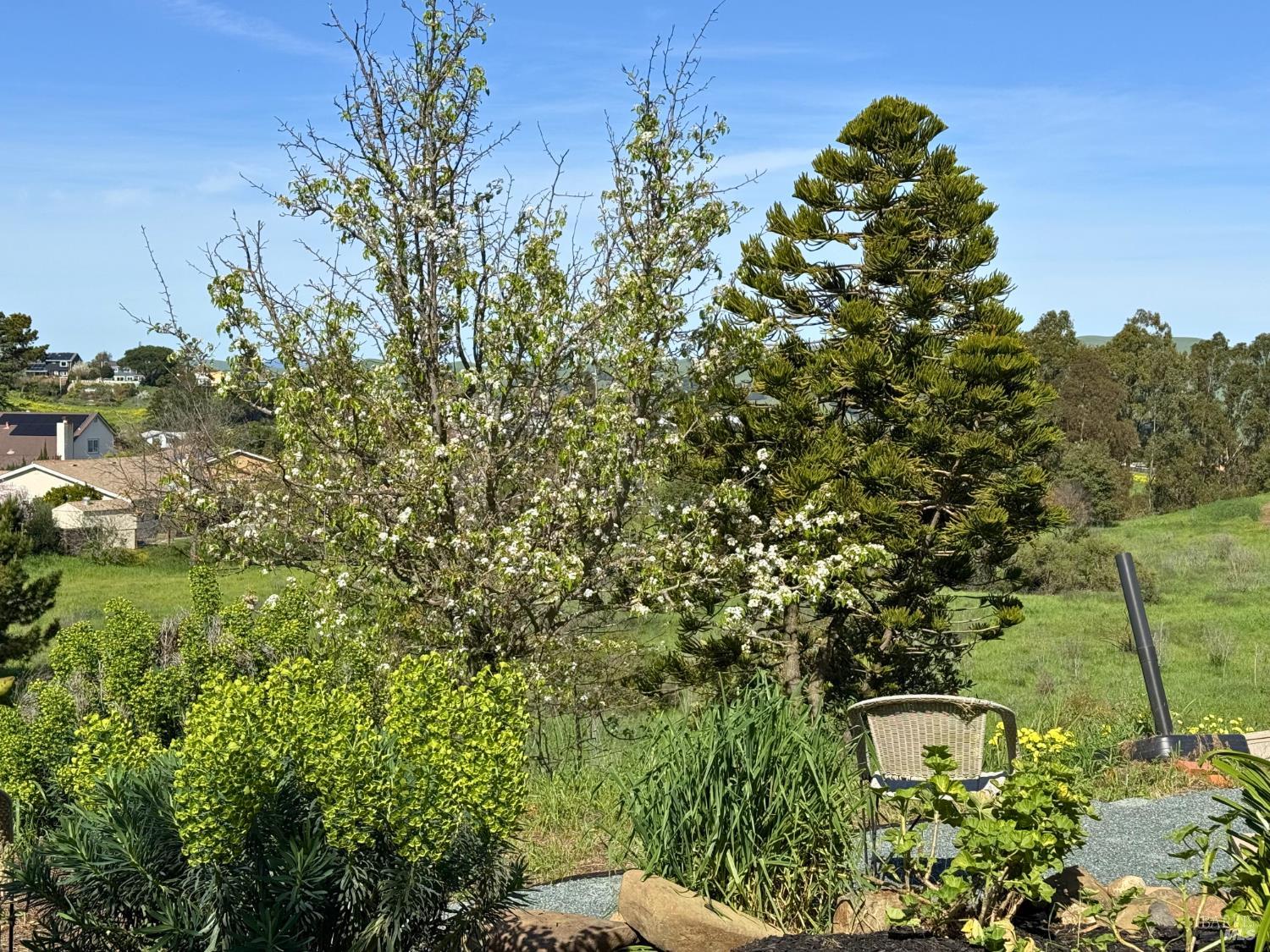 Detail Gallery Image 40 of 41 For 97 Carlisle Way, Benicia,  CA 94510 - 4 Beds | 3 Baths