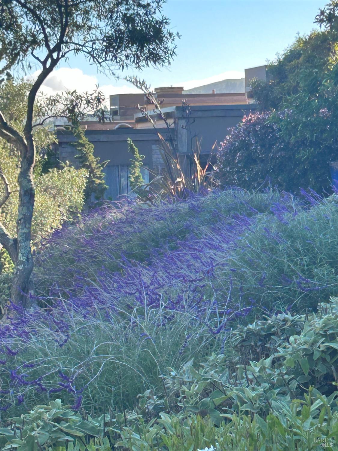 Detail Gallery Image 6 of 16 For Address Is Not Disclosed, Mill Valley,  CA 94941 - 1 Beds | 1 Baths