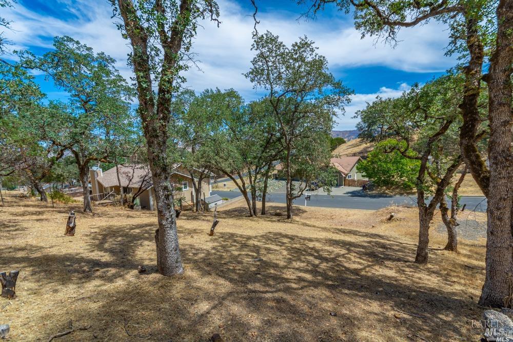 Detail Gallery Image 7 of 7 For 1053 Headlands Drive Dr, Napa,  CA 94558 - – Beds | – Baths