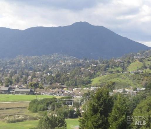 Detail Gallery Image 29 of 36 For 3 Fielding Cir, Mill Valley,  CA 94941 - 2 Beds | 2 Baths