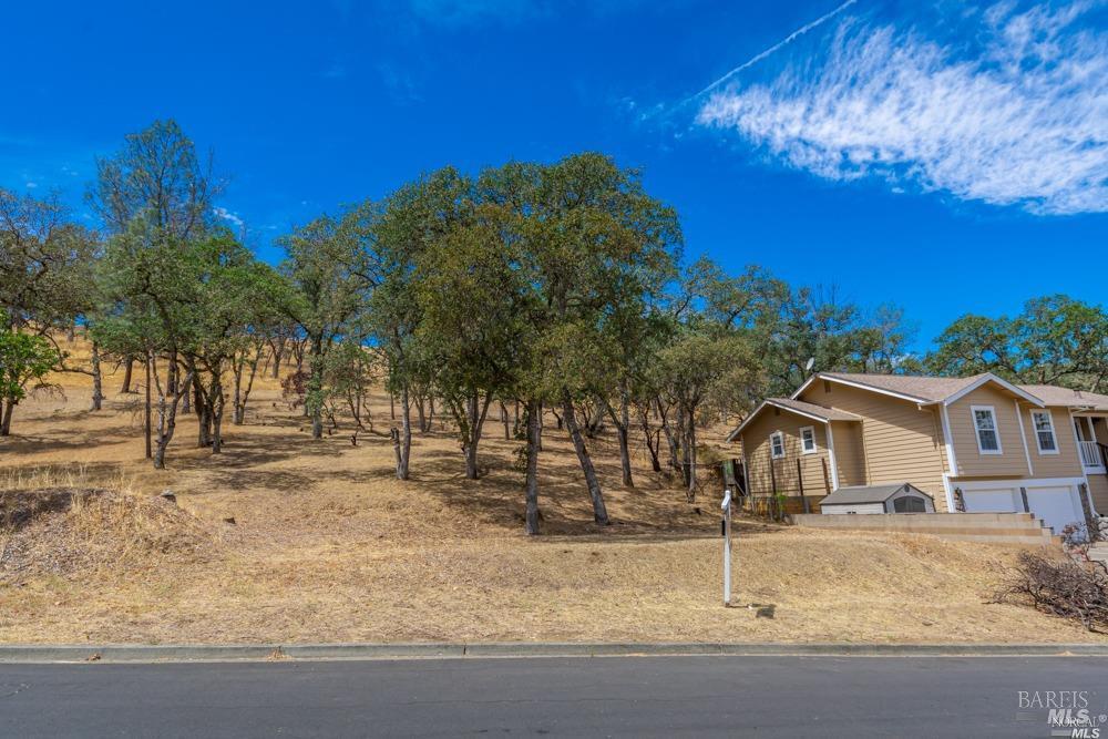 Detail Gallery Image 5 of 7 For 1053 Headlands Drive Dr, Napa,  CA 94558 - – Beds | – Baths