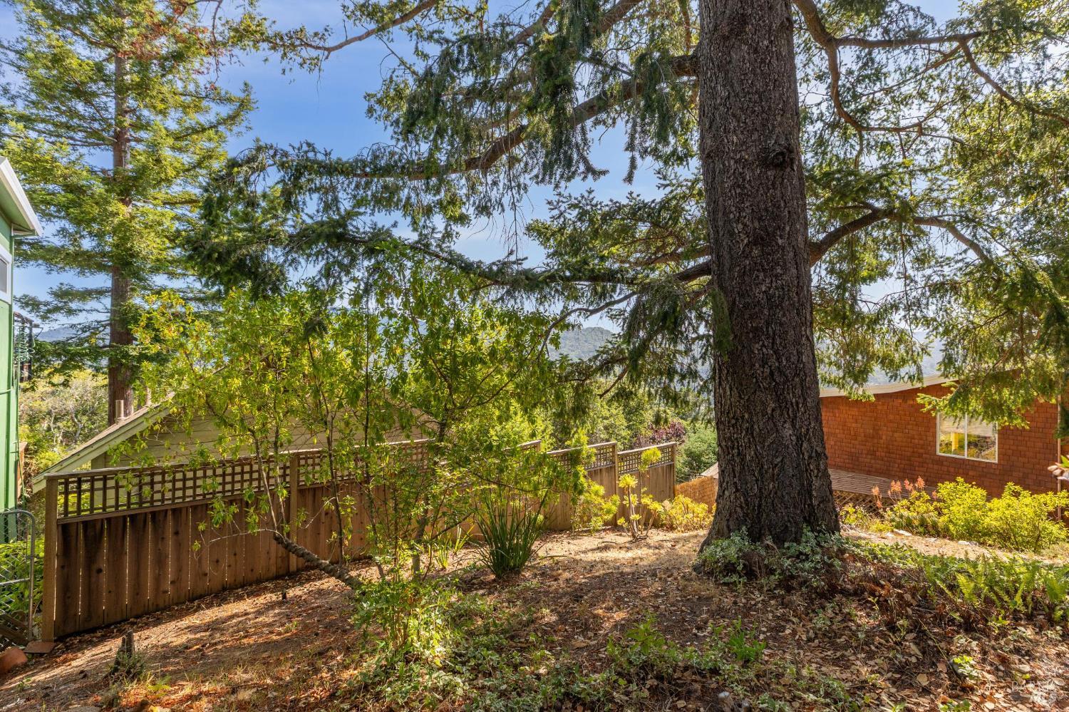 Detail Gallery Image 27 of 29 For 569 Sequoia Dr, San Anselmo,  CA 94960 - 2 Beds | 1 Baths