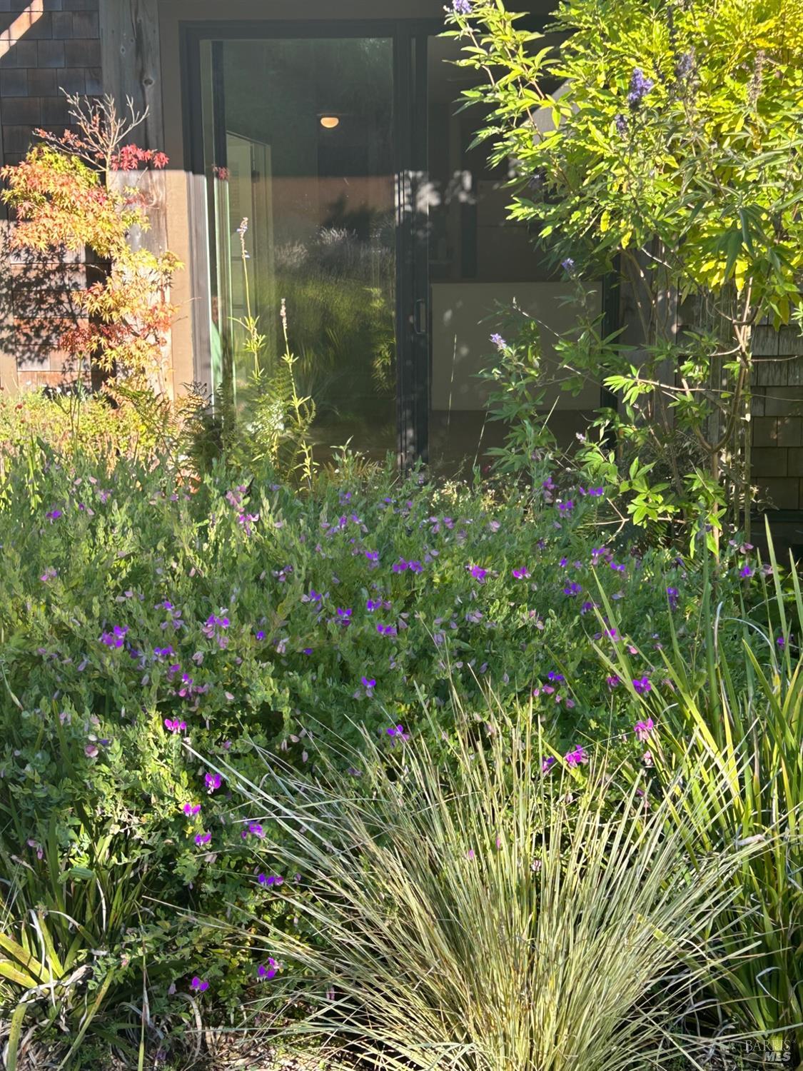 Detail Gallery Image 9 of 16 For Address Is Not Disclosed, Mill Valley,  CA 94941 - 1 Beds | 1 Baths