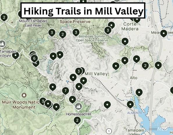 Detail Gallery Image 30 of 36 For 3 Fielding Cir, Mill Valley,  CA 94941 - 2 Beds | 2 Baths