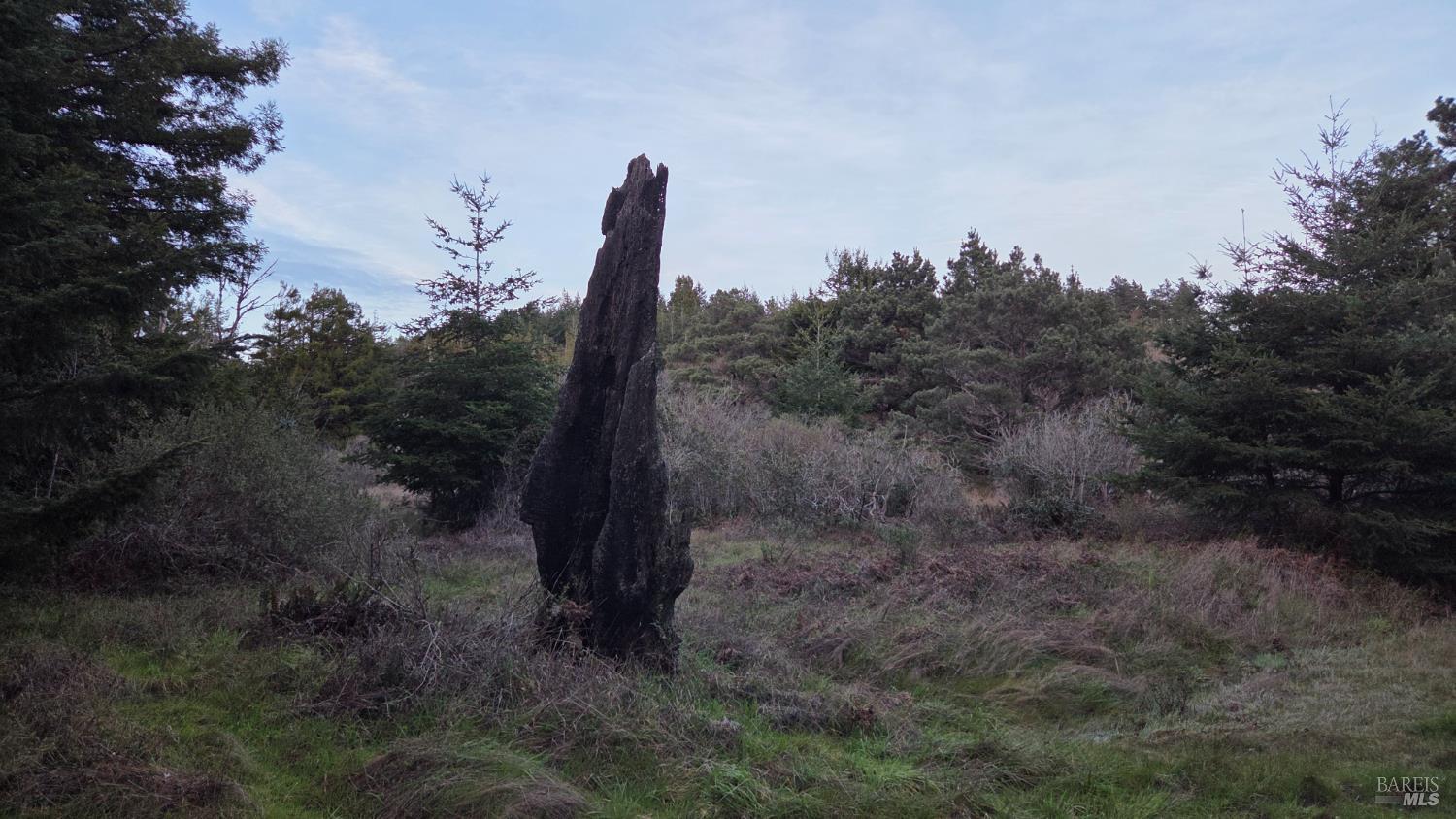 Detail Gallery Image 4 of 11 For 0 Iversen Dr, Gualala,  CA 95445 - – Beds | – Baths