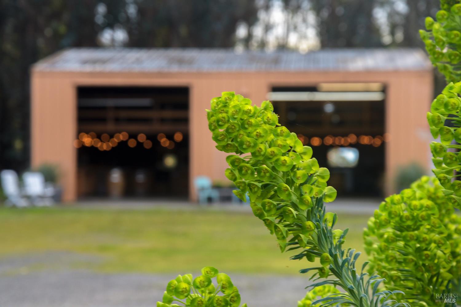 Detail Gallery Image 22 of 47 For 2103 Bodega Ave, Petaluma,  CA 94952 - 3 Beds | 2 Baths