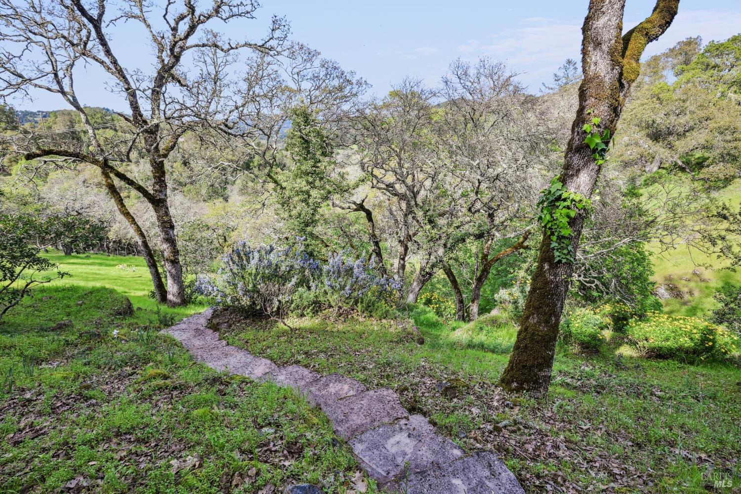 Detail Gallery Image 58 of 62 For 1160 Dance Dr, Sonoma,  CA 95476 - 3 Beds | 2/1 Baths