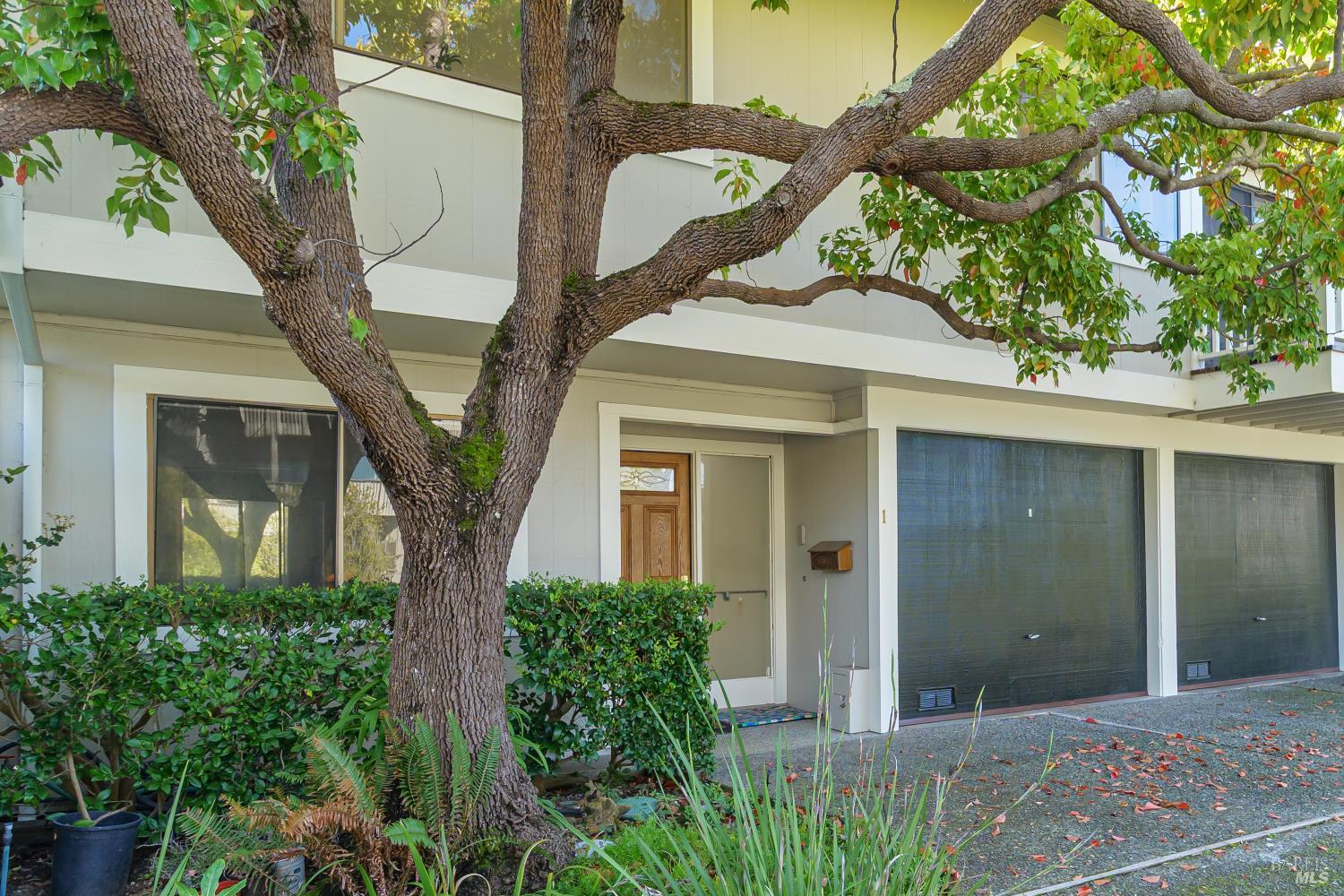 Detail Gallery Image 3 of 30 For 80 Lyford Dr #1,  Tiburon,  CA 94920 - 2 Beds | 2 Baths