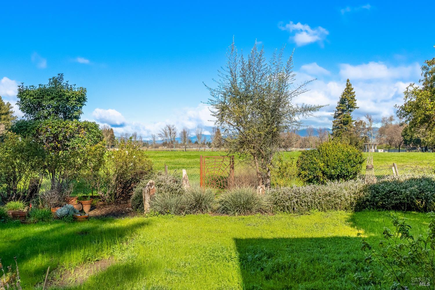 Detail Gallery Image 34 of 36 For 1100 Rutherford Rd, Rutherford,  CA 94573 - 3 Beds | 2/1 Baths