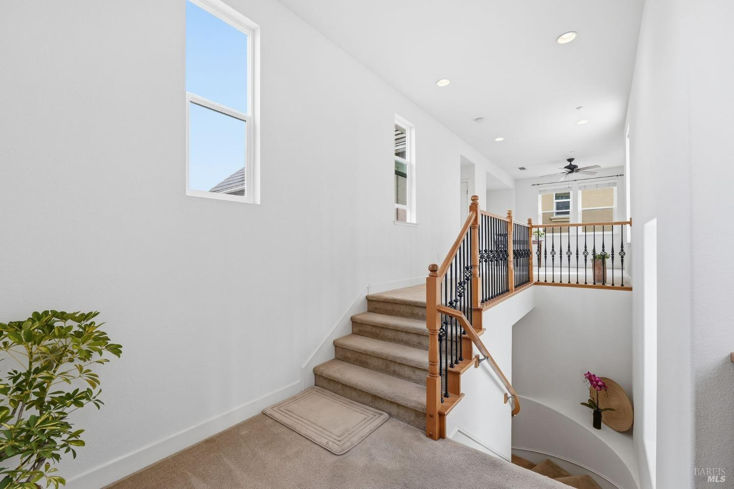 Detail Gallery Image 51 of 53 For 167 Terrazzo Ln, American Canyon,  CA 94503 - 4 Beds | 3/1 Baths