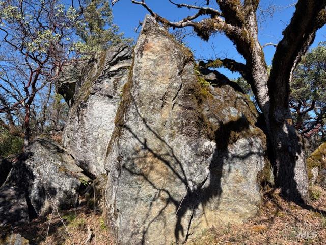 Detail Gallery Image 7 of 13 For 58921 George Washington Rock Rd, Leggett,  CA 95585 - – Beds | – Baths