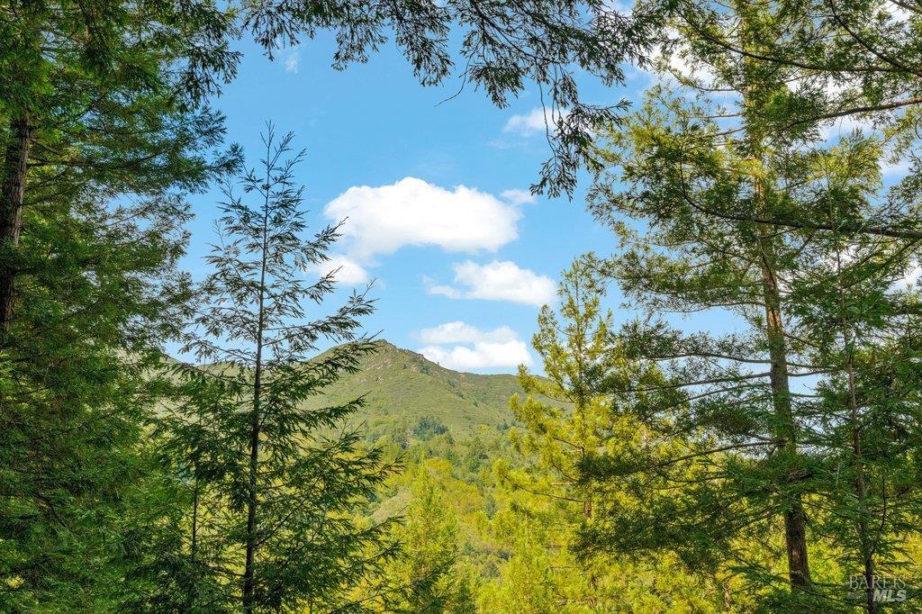 Detail Gallery Image 35 of 63 For 410 Monte Vista Ave, Mill Valley,  CA 94941 - 5 Beds | 3 Baths