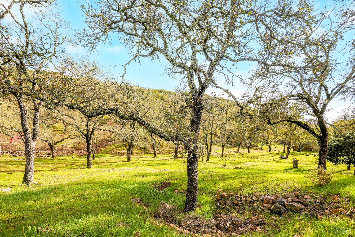 Detail Gallery Image 66 of 81 For 5335 Boulder Ridge Ct, Fairfield,  CA 94534 - 4 Beds | 3/1 Baths