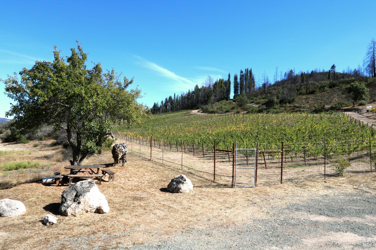 Detail Gallery Image 55 of 67 For 1755 Diamond Mountain Rd, Calistoga,  CA 94515 - 3 Beds | 3/1 Baths