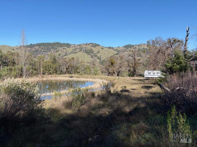 Detail Gallery Image 11 of 13 For 58921 George Washington Rock Rd, Leggett,  CA 95585 - – Beds | – Baths