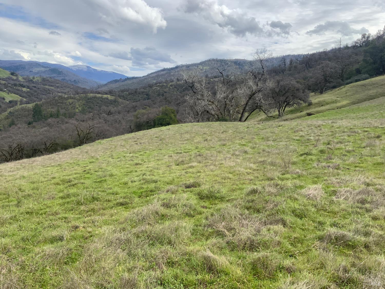 Detail Gallery Image 3 of 17 For 78500 Mexico Ridge Rd, Covelo,  CA 95428 - – Beds | – Baths