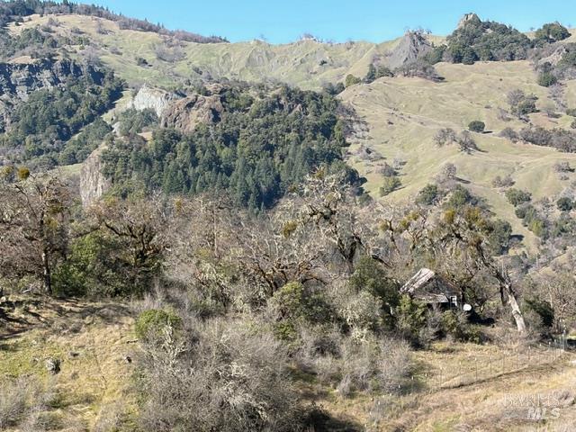 Detail Gallery Image 4 of 13 For 58921 George Washington Rock Rd, Leggett,  CA 95585 - – Beds | – Baths