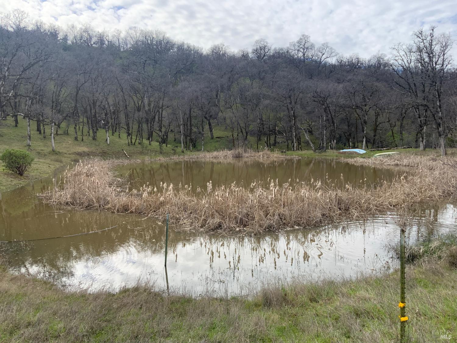 Detail Gallery Image 8 of 17 For 78500 Mexico Ridge Rd, Covelo,  CA 95428 - – Beds | – Baths