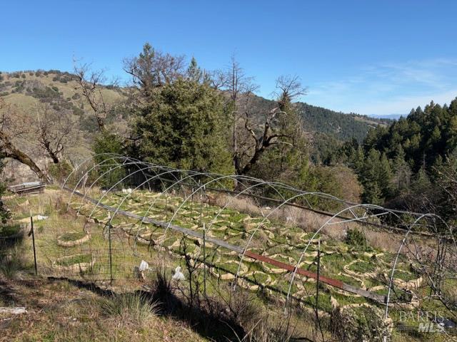 Detail Gallery Image 9 of 13 For 58921 George Washington Rock Rd, Leggett,  CA 95585 - – Beds | – Baths