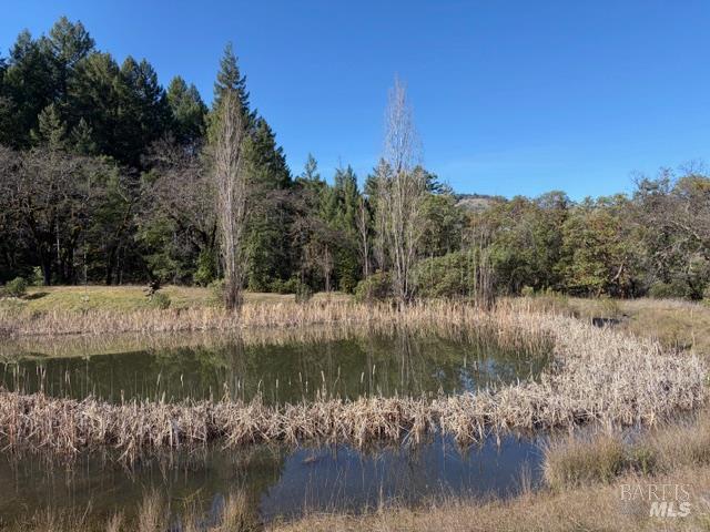 Detail Gallery Image 10 of 13 For 58921 George Washington Rock Rd, Leggett,  CA 95585 - – Beds | – Baths