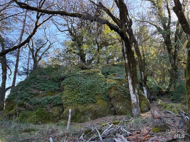 Detail Gallery Image 5 of 13 For 58921 George Washington Rock Rd, Leggett,  CA 95585 - – Beds | – Baths