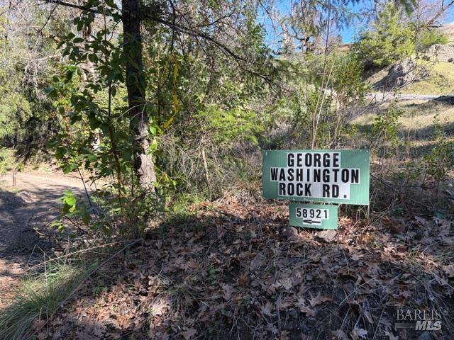 Detail Gallery Image 8 of 13 For 58921 George Washington Rock Rd, Leggett,  CA 95585 - – Beds | – Baths