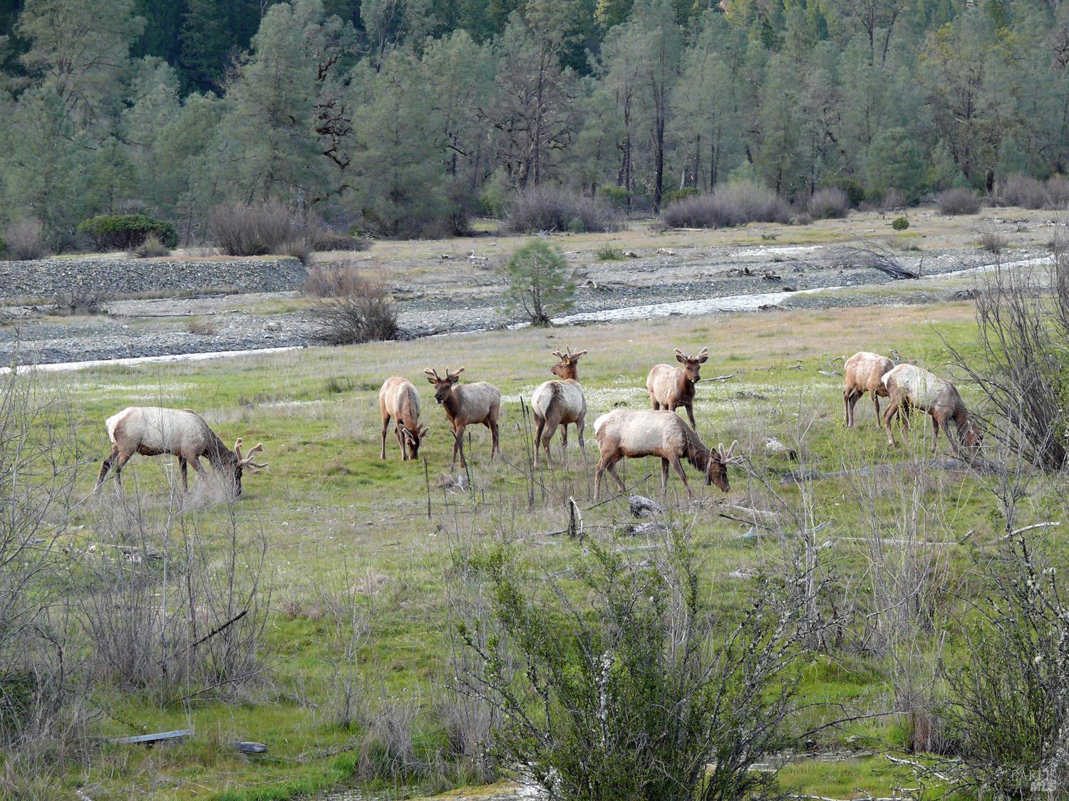 Detail Gallery Image 36 of 38 For 4311 Forest Hill Dr, Potter Valley,  CA 95469 - 2 Beds | 1 Baths