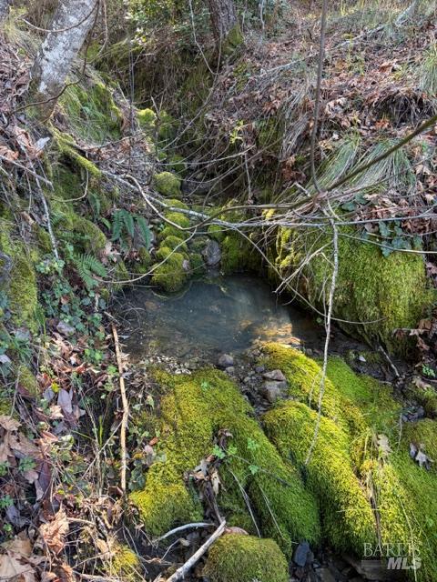 Detail Gallery Image 6 of 13 For 58921 George Washington Rock Rd, Leggett,  CA 95585 - – Beds | – Baths