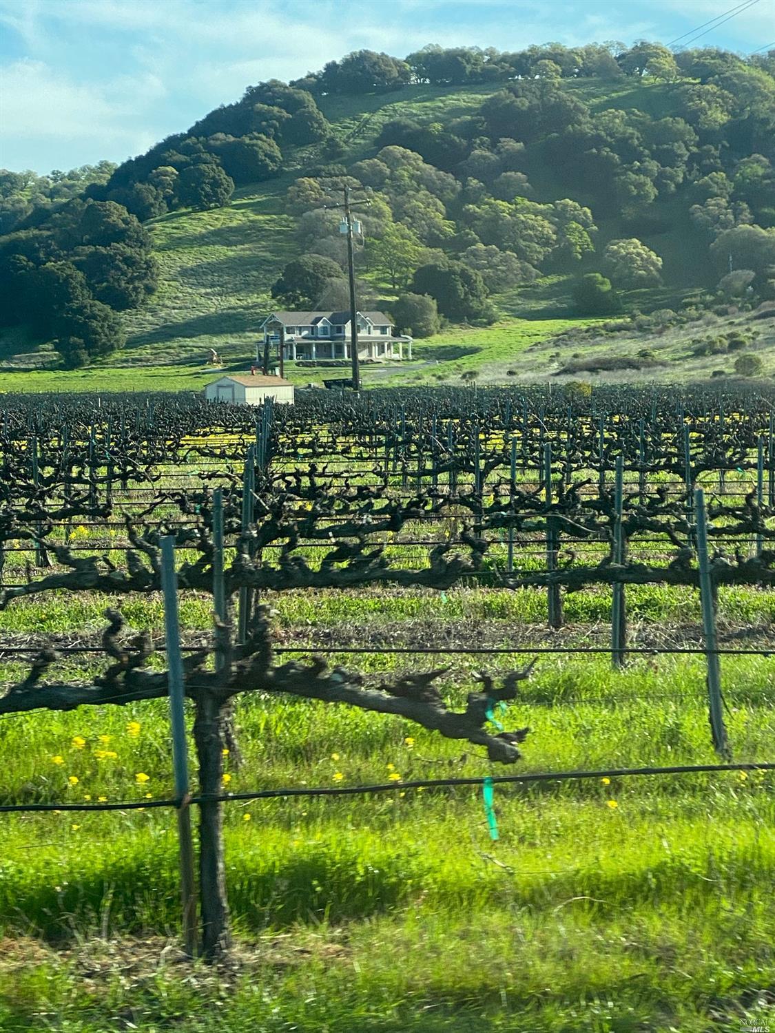 Detail Gallery Image 26 of 46 For 4144 Green Valley Rd, Fairfield,  CA 94534 - – Beds | – Baths