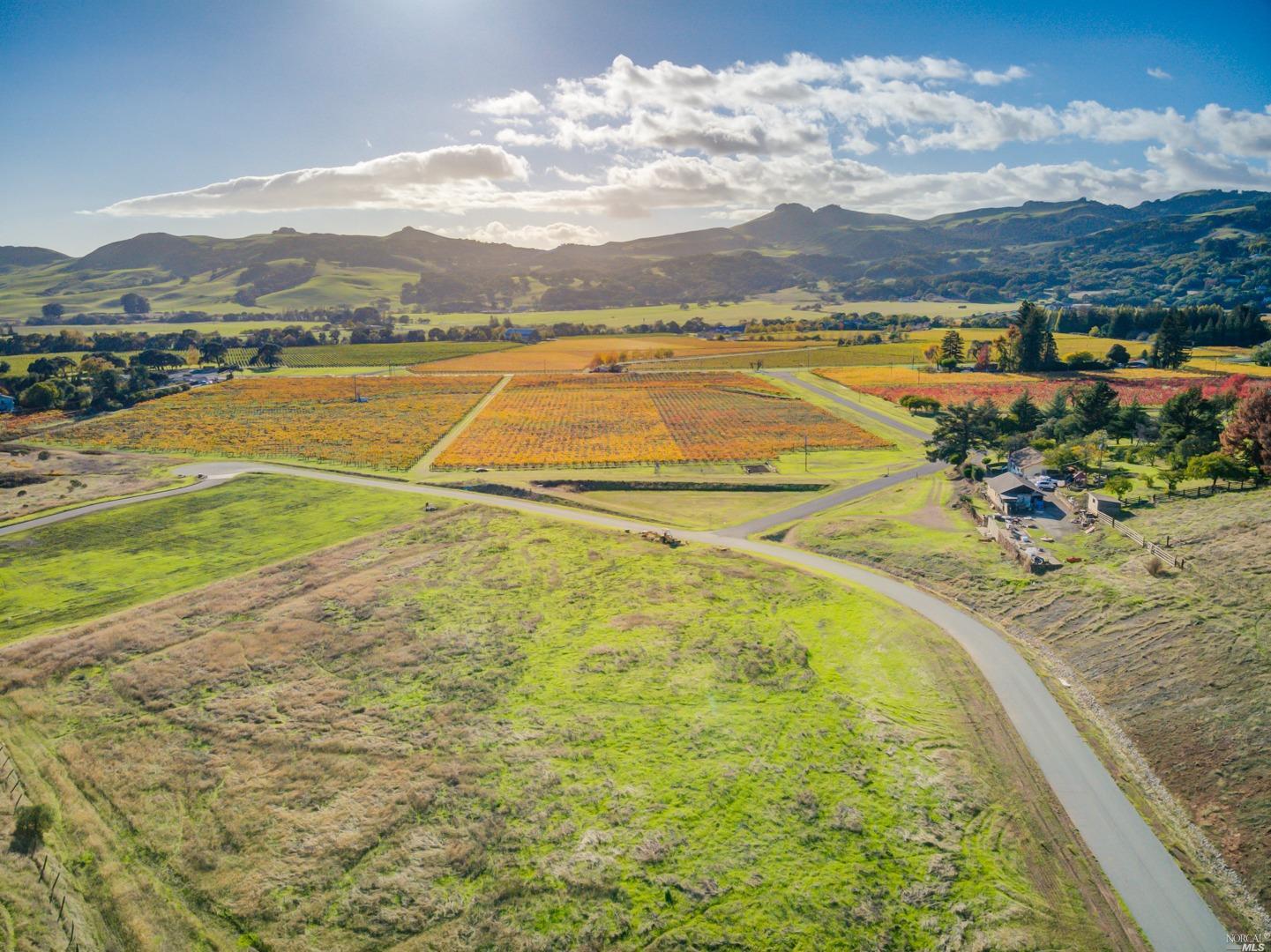 Detail Gallery Image 5 of 46 For 4144 Green Valley Rd, Fairfield,  CA 94534 - 2 Beds | 1 Baths