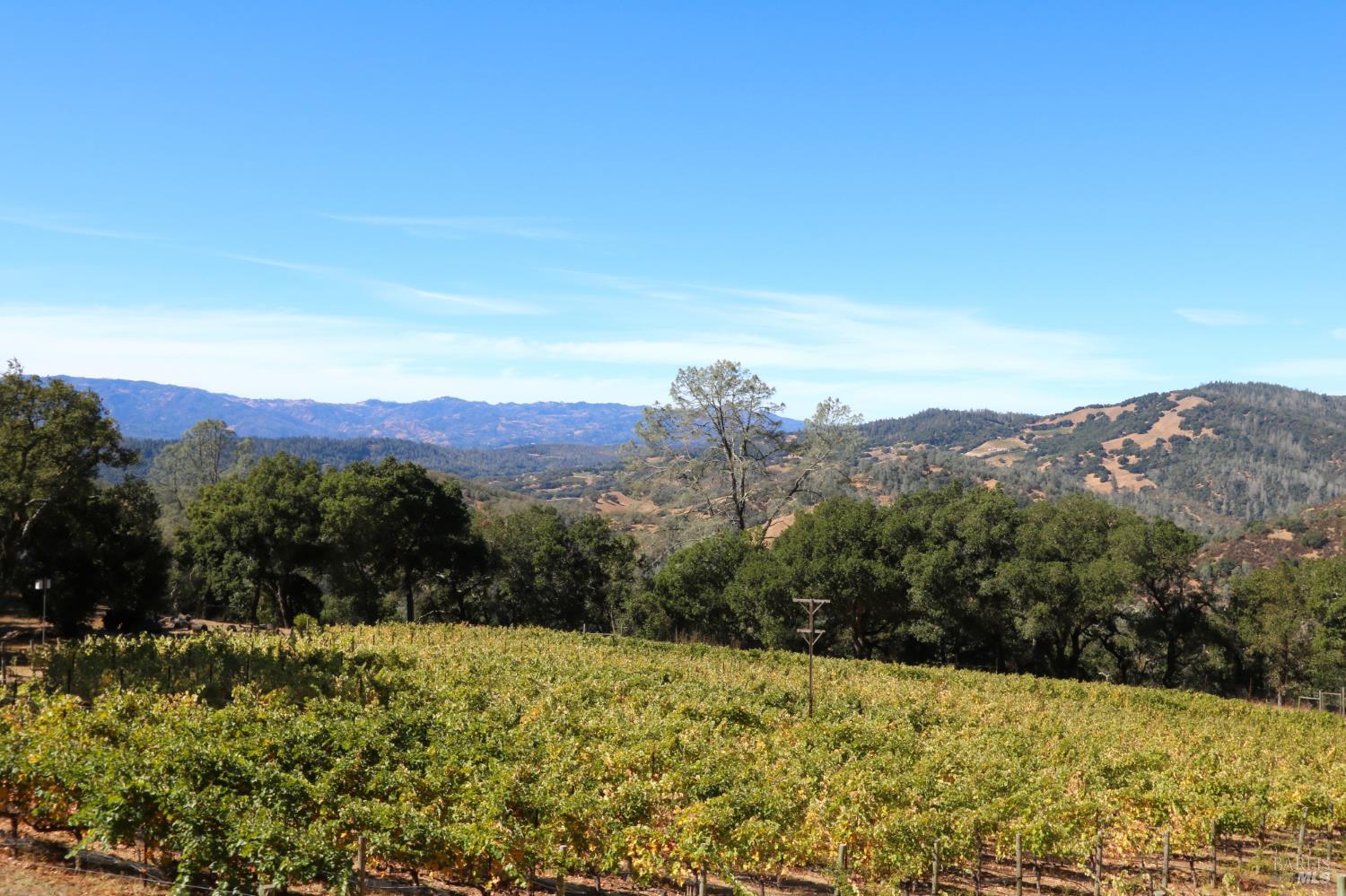 Detail Gallery Image 22 of 23 For 0 Hennessey Ridge Rd, Saint Helena,  CA 94574 - – Beds | – Baths