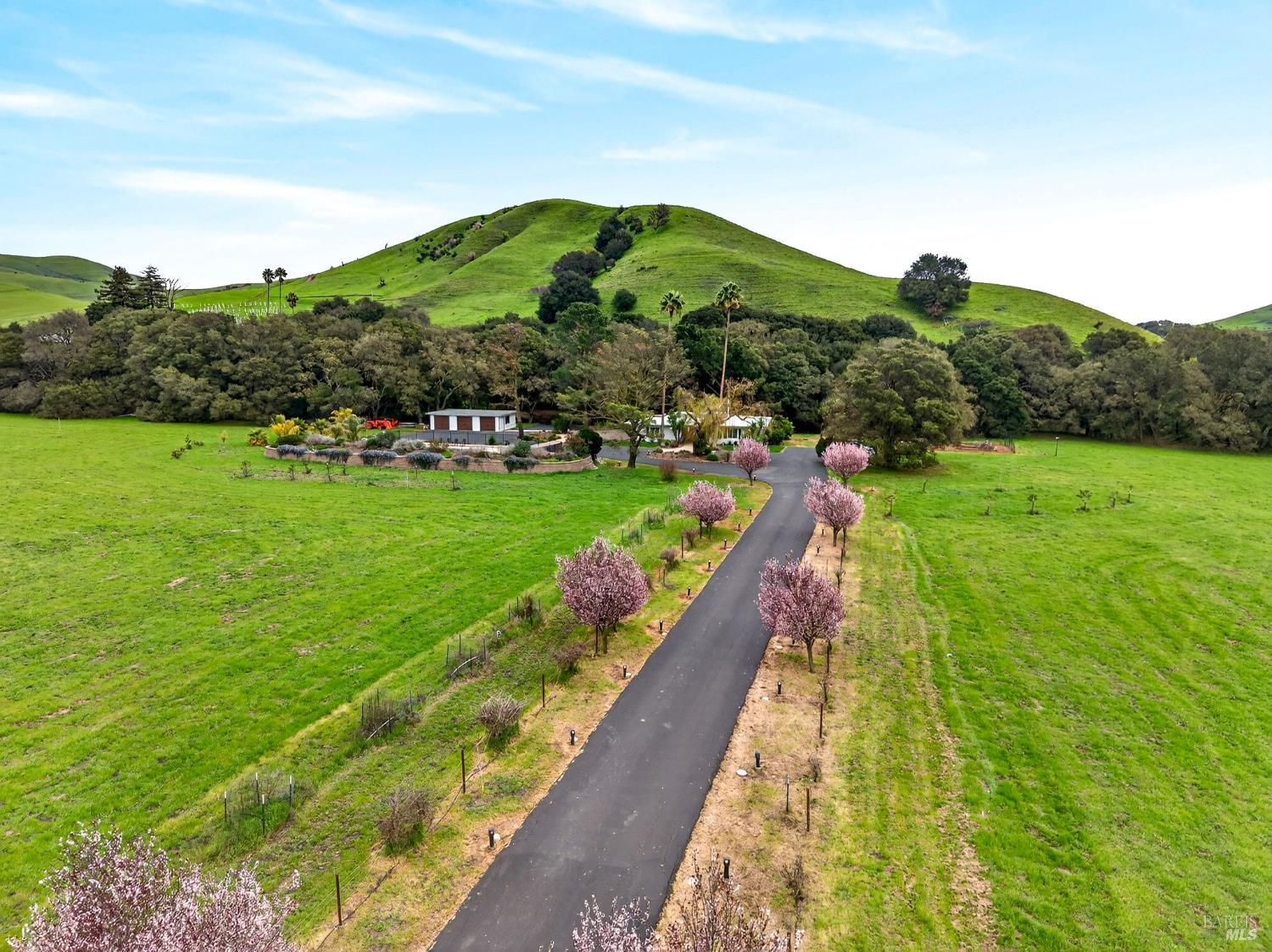 Detail Gallery Image 59 of 69 For 3534 Spurs Trl, American Canyon,  CA 94503 - 4 Beds | 2 Baths