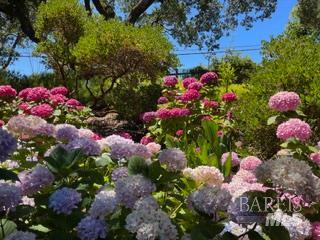 Detail Gallery Image 63 of 66 For 160 Crest Rd, Novato,  CA 94945 - 3 Beds | 3/2 Baths
