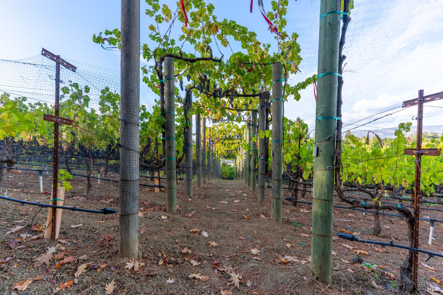 Detail Gallery Image 33 of 37 For 1125 Westview Dr, Napa,  CA 94558 - 5 Beds | 3 Baths