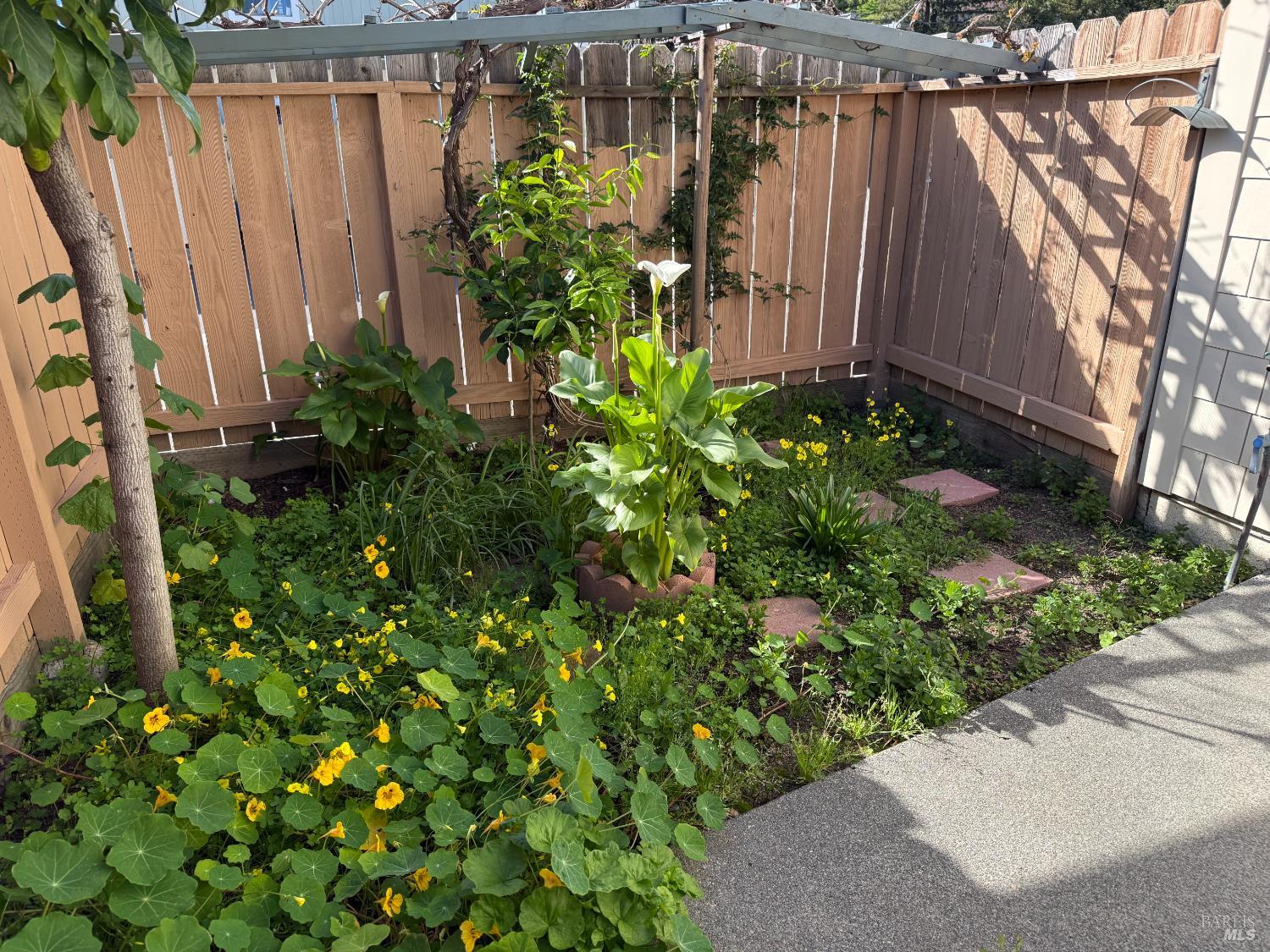 Detail Gallery Image 10 of 21 For 19 Manchester Ct, Novato,  CA 94947 - 2 Beds | 1/1 Baths