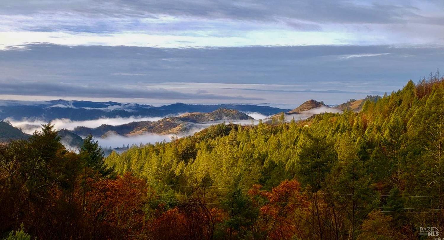 Detail Gallery Image 4 of 51 For 4405 Lake County Hwy, Calistoga,  CA 94515 - 3 Beds | 2 Baths