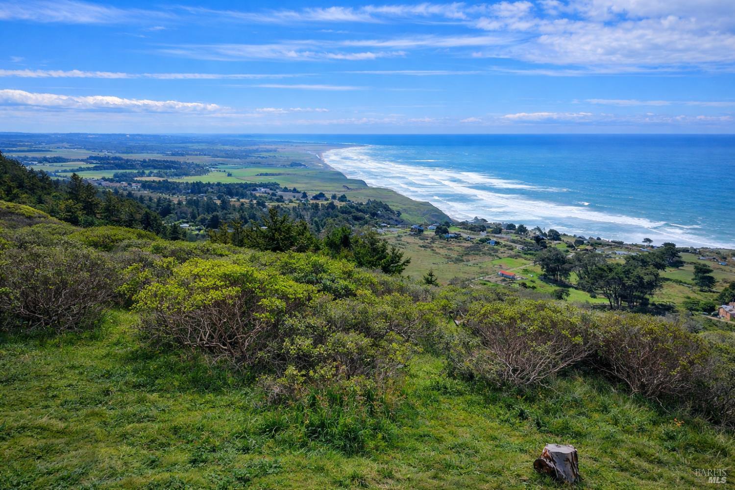 Detail Gallery Image 10 of 13 For 0 Alta Mesa Rd, Manchester,  CA 95459 - – Beds | – Baths