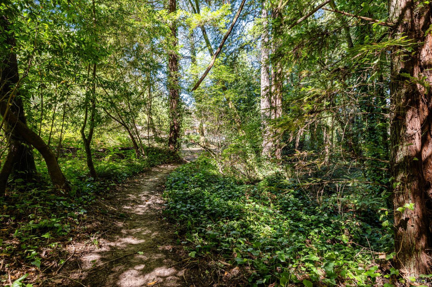 Detail Gallery Image 33 of 53 For 9935 Occidental Rd, Sebastopol,  CA 95472 - 3 Beds | 3 Baths