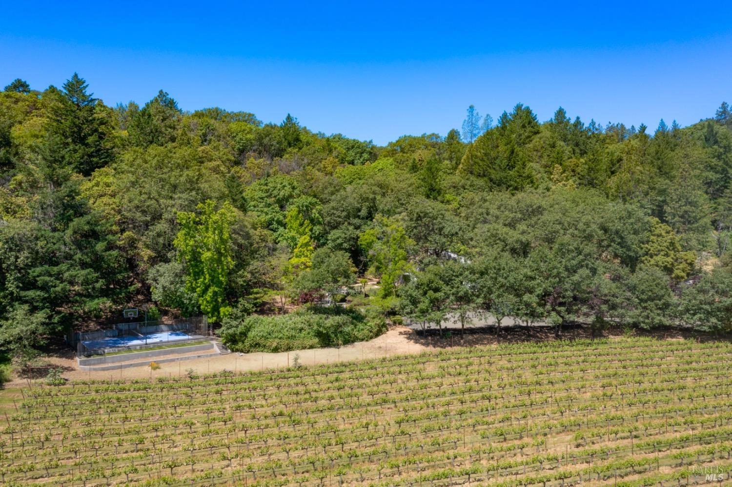 Detail Gallery Image 11 of 74 For 1275 Summit Lake Dr, Angwin,  CA 94508 - 4 Beds | 3/1 Baths