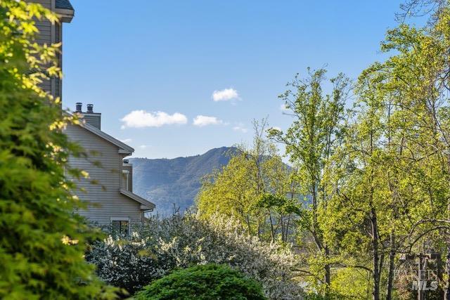 Detail Gallery Image 31 of 35 For 118 Eucalyptus Knoll St, Mill Valley,  CA 94941 - 2 Beds | 2 Baths