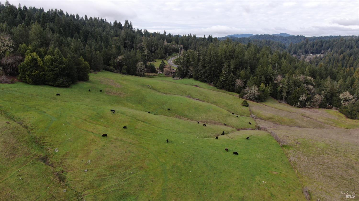 Detail Gallery Image 37 of 41 For 23606 Primrose Ave, Willits,  CA 95490 - – Beds | – Baths