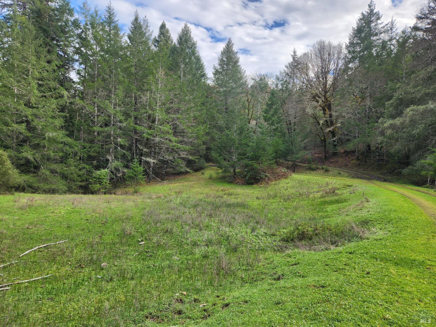 Detail Gallery Image 8 of 41 For 23606 Primrose Ave, Willits,  CA 95490 - – Beds | – Baths