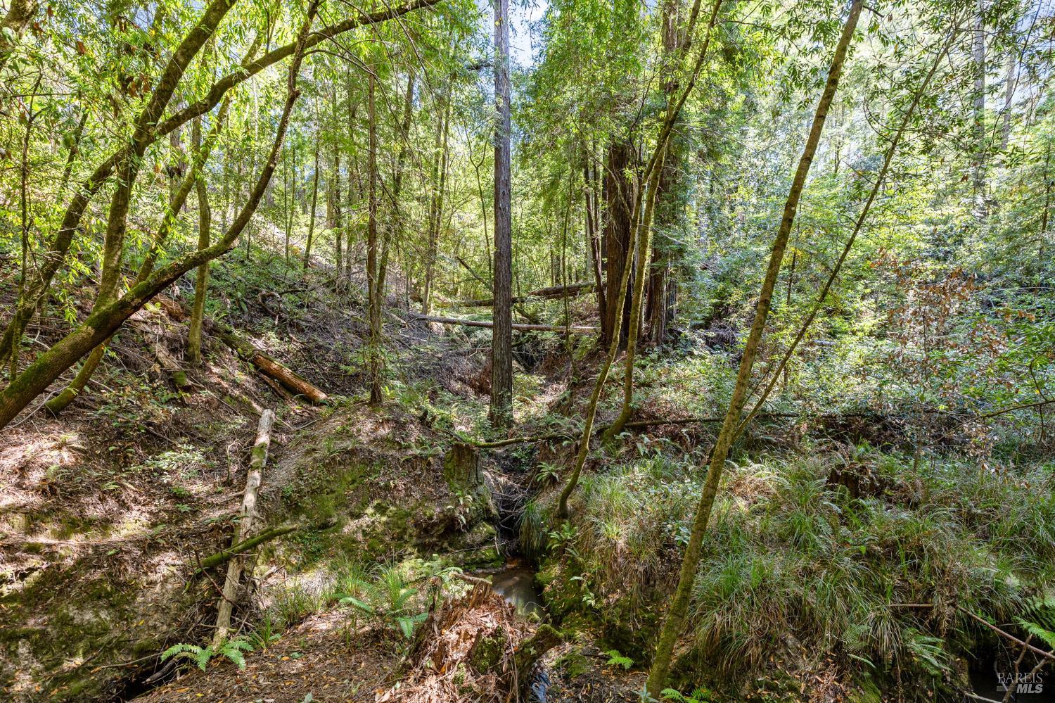 Detail Gallery Image 32 of 53 For 9935 Occidental Rd, Sebastopol,  CA 95472 - 3 Beds | 3 Baths