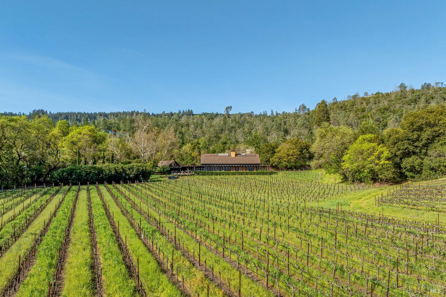 Detail Gallery Image 4 of 68 For 1626 Whitehall Ln, Saint Helena,  CA 94574 - 5 Beds | 7/1 Baths